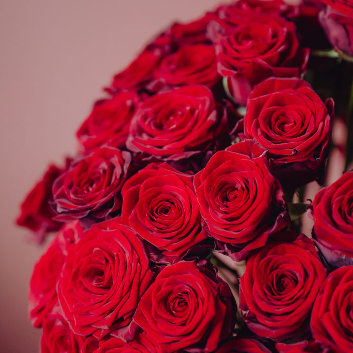 | N°51 | Bouquet saint Valentin rose rouge reflets fleurs célébrez l'amour